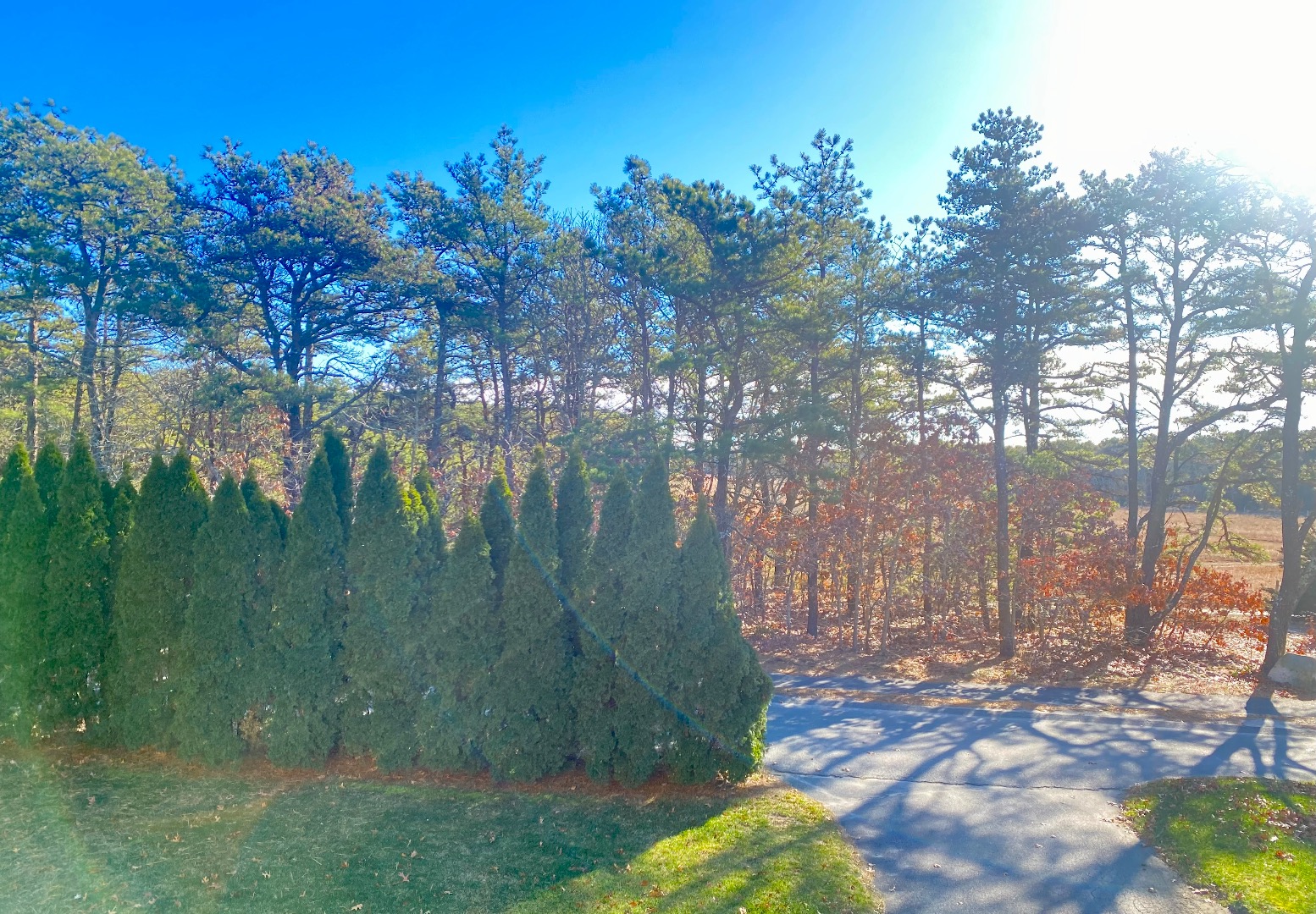 101 Tradewinds Road Oak Bluffs, MA 02557 - Photo 38 of 59 a view of backyard with green space