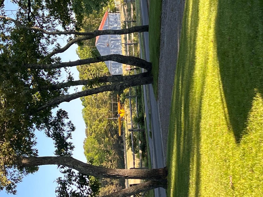 101 Tradewinds Road Oak Bluffs, MA 02557 - Photo 55 of 59 a view of swimming pool from a yard