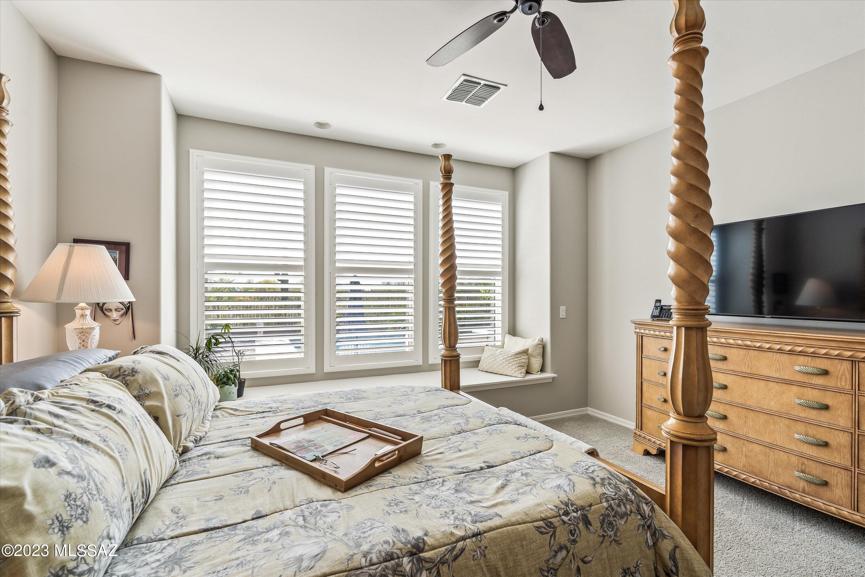 11905 North Raphael Way Marana, AZ 85742 - Photo 20 of 37 22-Primary Bedroom