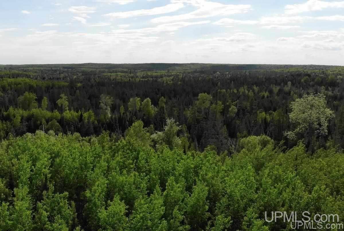 Tbd Off Triangle Ranch Road Amasa, MI 49903 - Photo 3 of 18