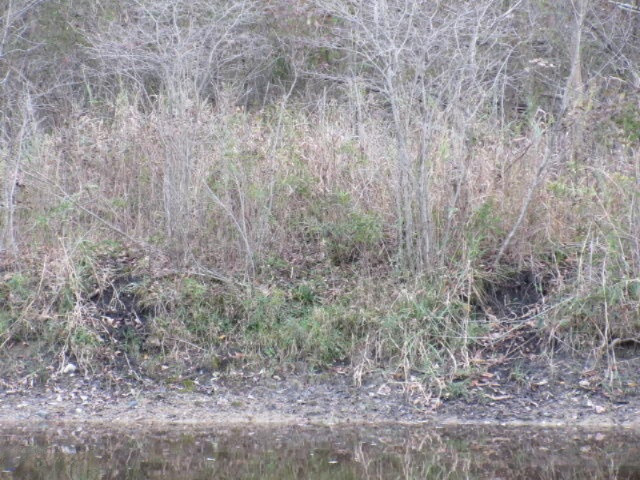Herrington Road Perry, MI 48872 - Photo 11 of 38 IMG_2017