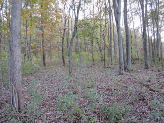 Herrington Road Perry, MI 48872 - Photo 17 of 38 IMG_2024
