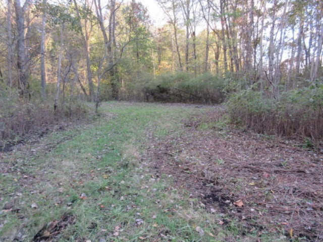 Herrington Road Perry, MI 48872 - Photo 20 of 38 IMG_2028
