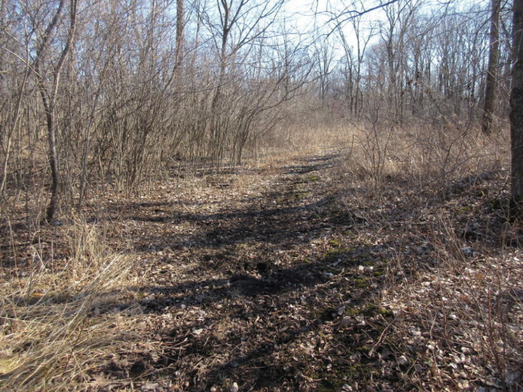 Herrington Road Perry, MI 48872 - Photo 2 of 38 Herrington 020