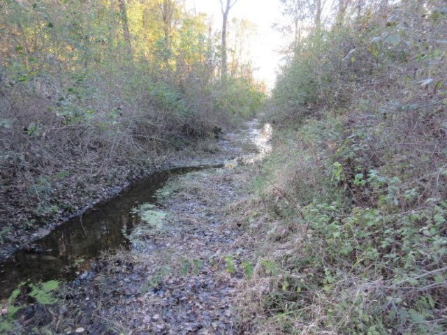 Herrington Road Perry, MI 48872 - Photo 23 of 38 IMG_2032