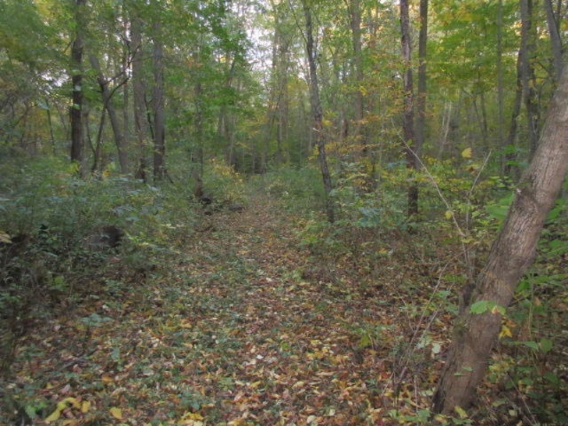 Herrington Road Perry, MI 48872 - Photo 27 of 38 IMG_2038