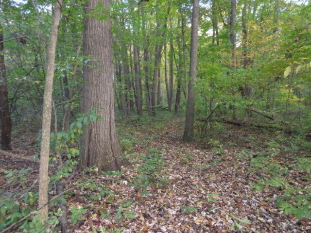 Herrington Road Perry, MI 48872 - Photo 29 of 38 IMG_2042