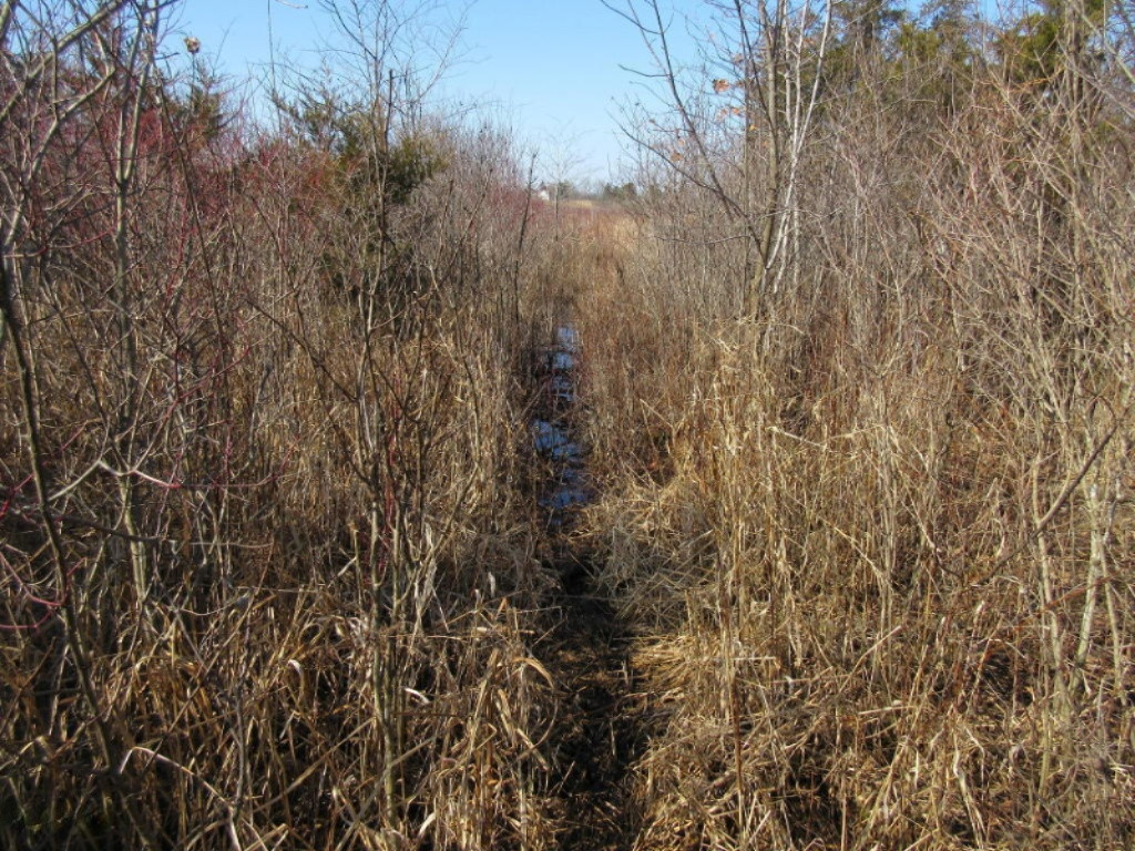 Herrington Road Perry, MI 48872 - Photo 3 of 38 Herrington 023