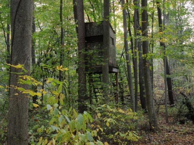 Herrington Road Perry, MI 48872 - Photo 33 of 38 IMG_2048