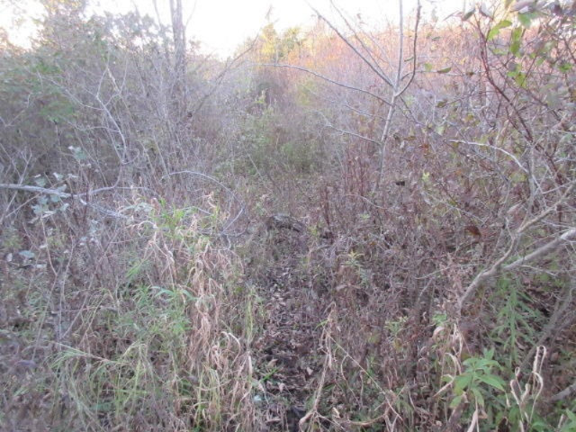 Herrington Road Perry, MI 48872 - Photo 36 of 38 IMG_2056