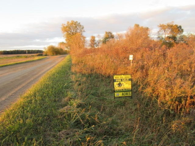 Herrington Road Perry, MI 48872 - Photo 38 of 38 IMG_2058