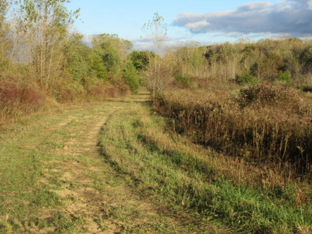 Herrington Road Perry, MI 48872 - Photo 6 of 38 IMG_2006