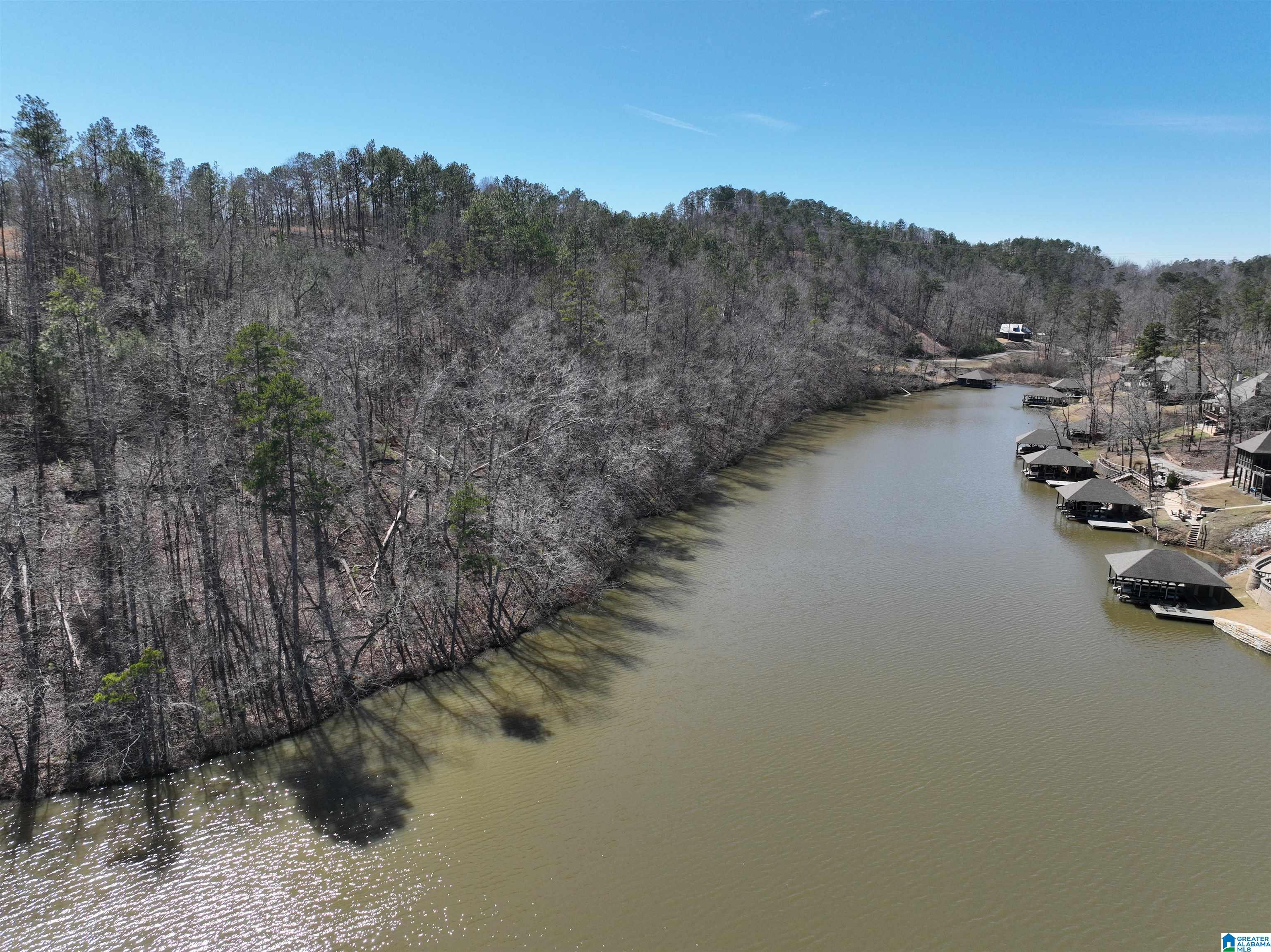 0 Preserve Road, Unit LOT 1 Rockford, AL 35136 - Photo 4 of 7