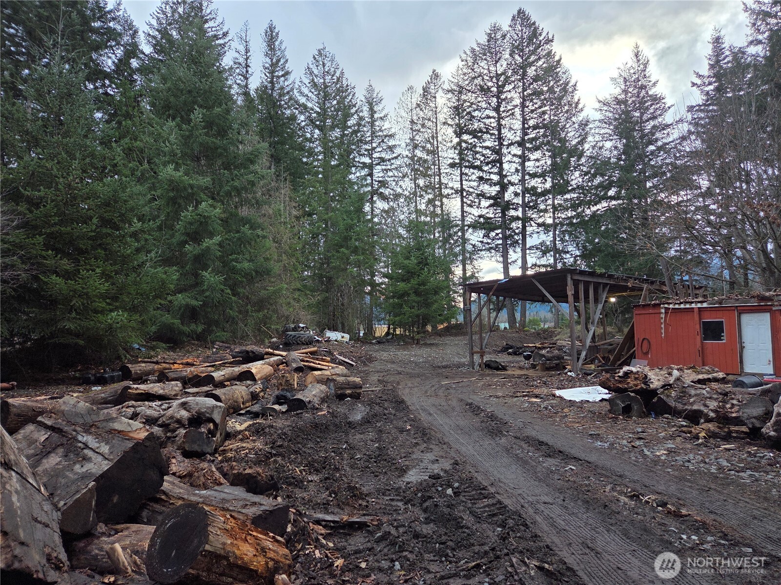 a view of a wooden house with large trees