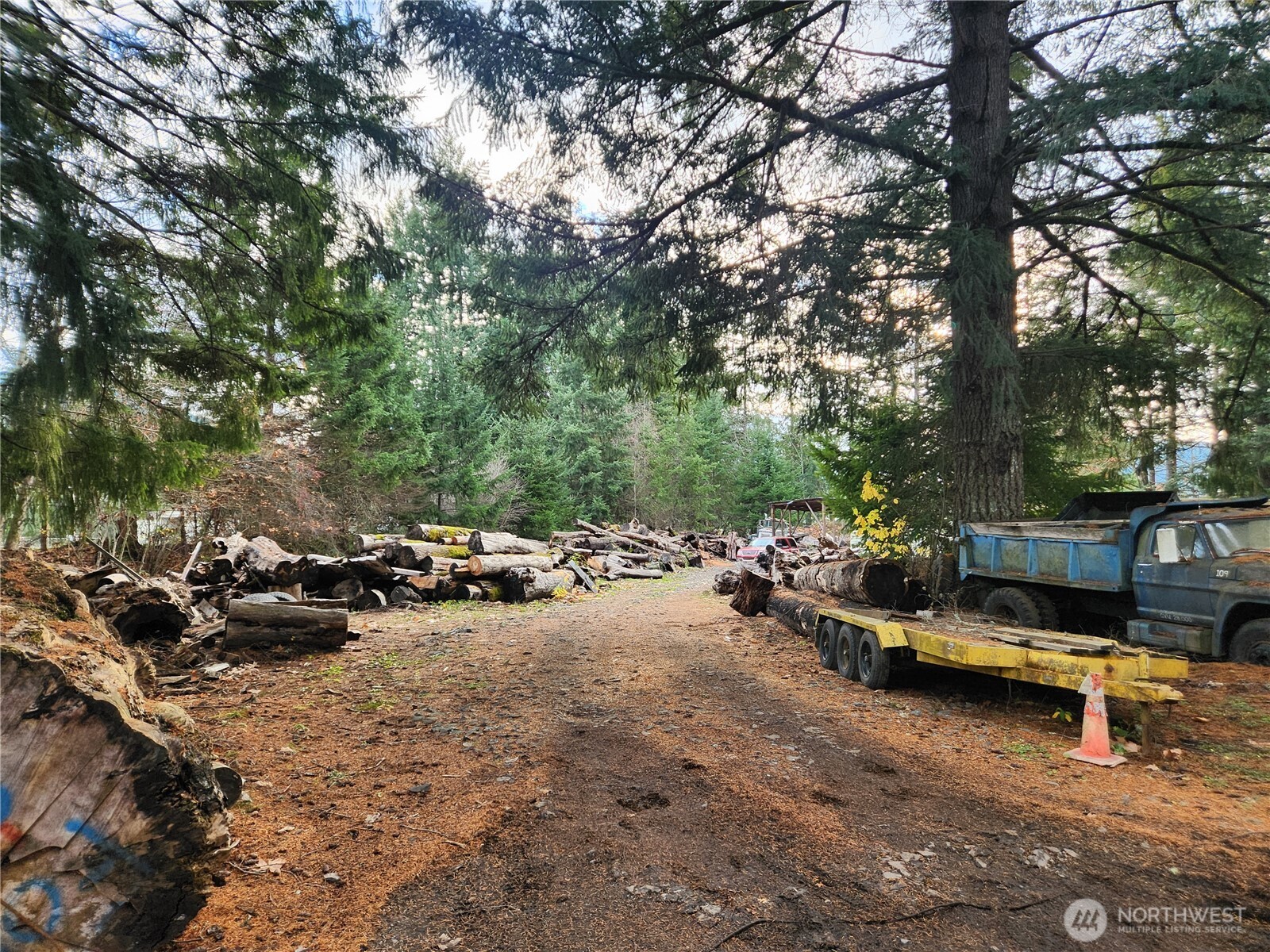 125 Edmonds Road Packwood, WA 98361 - Photo 5 of 6 a view of a street with some trees