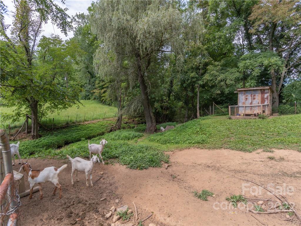 2171 Pigeon Road Waynesville, NC 28786 - Photo 27 of 35 Gallery Image 27