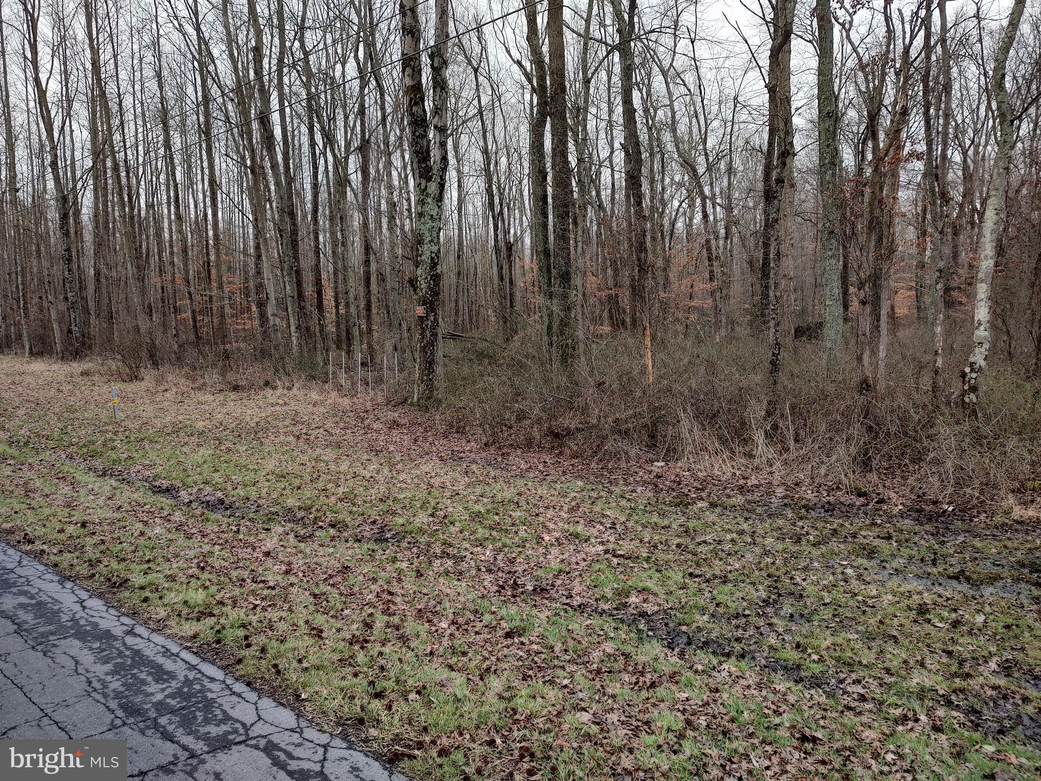 Lot 2 Underwoods Corner Road Clayton, DE 19938 - Photo 1 of 3 Gallery Image 1
