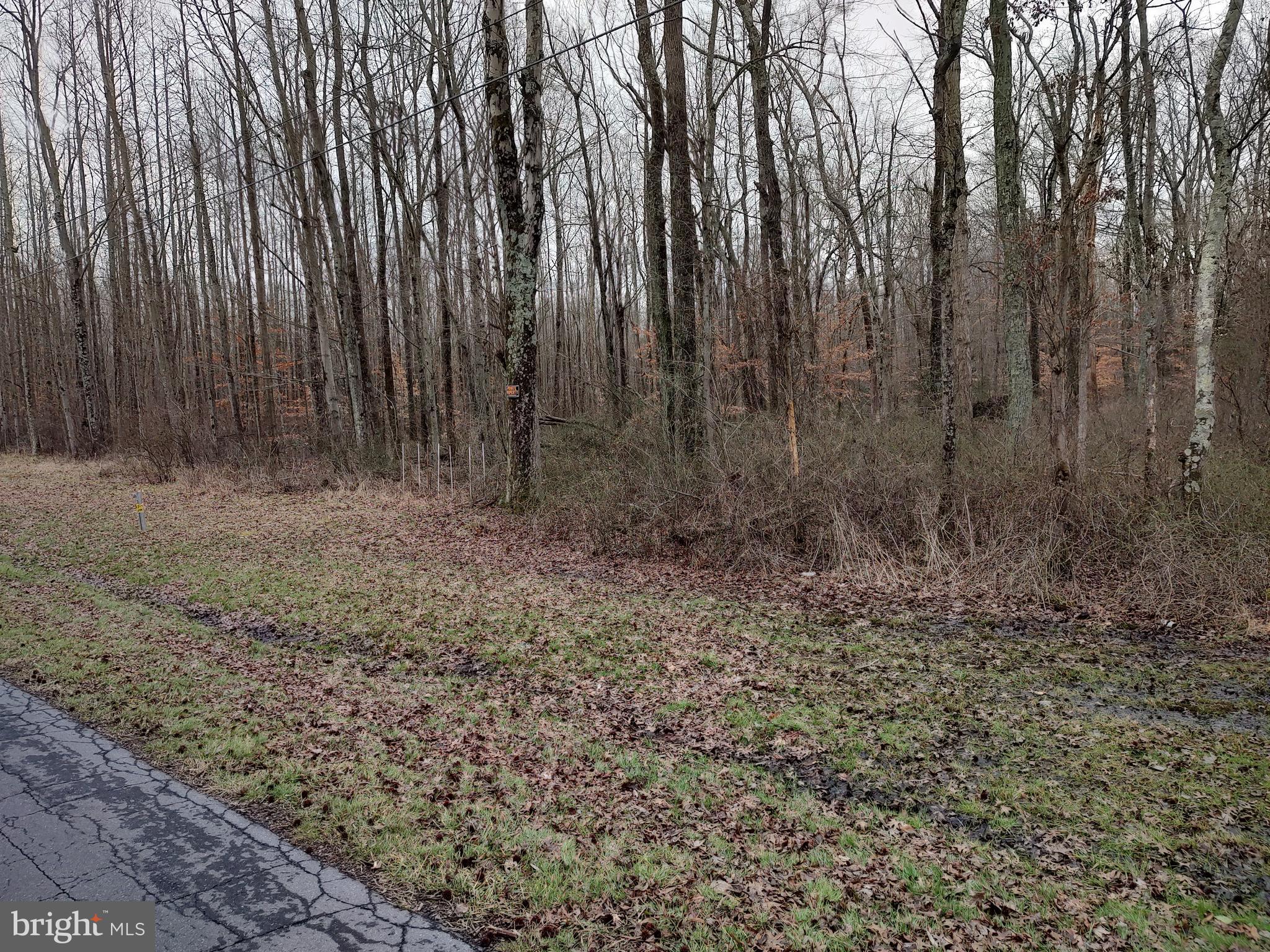 Lot 2 Underwoods Corner Road Clayton, DE 19938 - Photo 2 of 3 Gallery Image 2