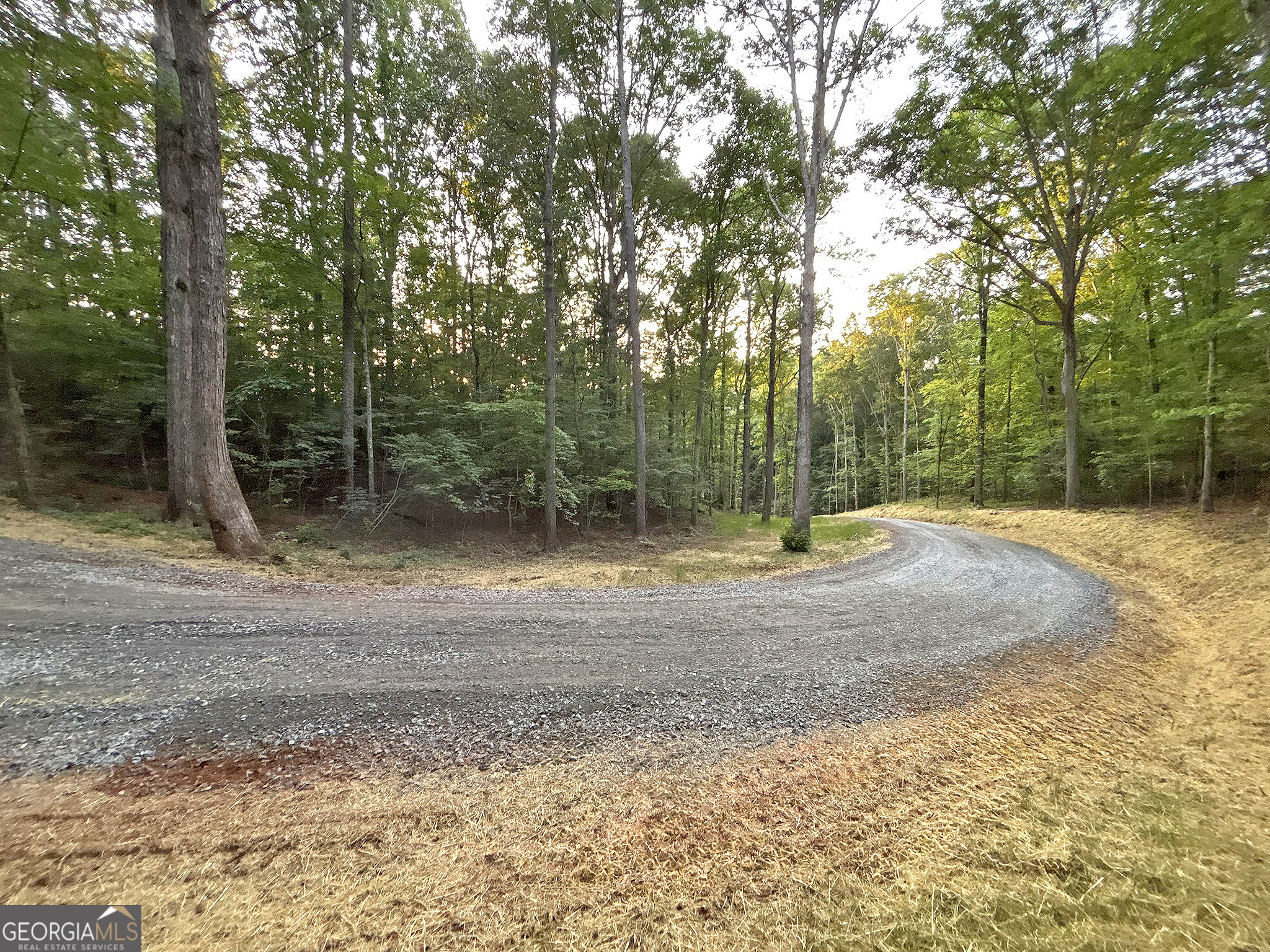 Lot 20 Mt Springer Road Ellijay, GA 30540 - Photo 26 of 32