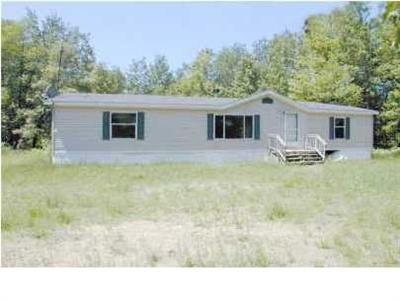 559 North Lewis Road Shepherd, MI 48883 - Photo 9 of 9 Additional Photo