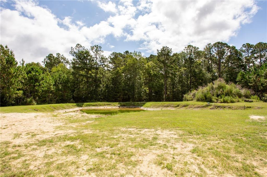 5618 Bowen Road Blackshear, GA 31516 - Photo 13 of 64