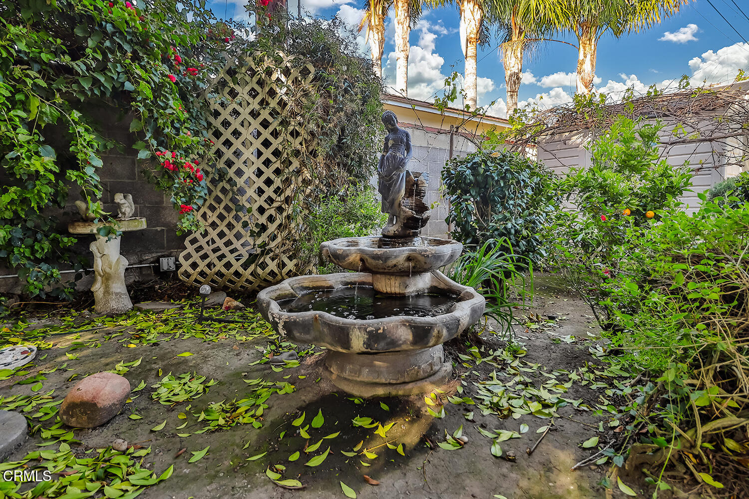 2671 Beacon Avenue Ventura, CA 93003 - Photo 34 of 37 BE38iBackyard10