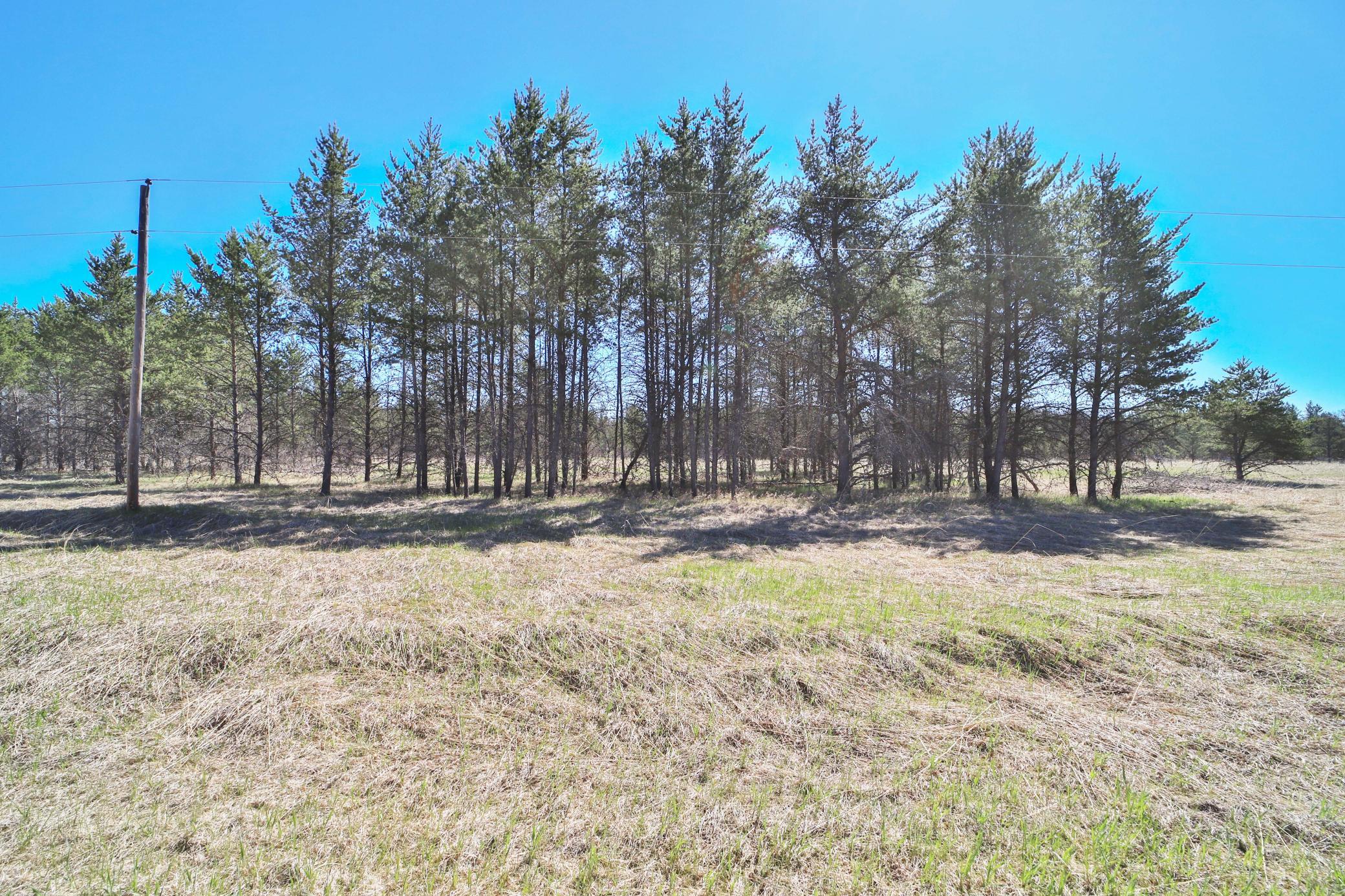 27125 132nd Street Staples, MN 56479 - Photo 56 of 58