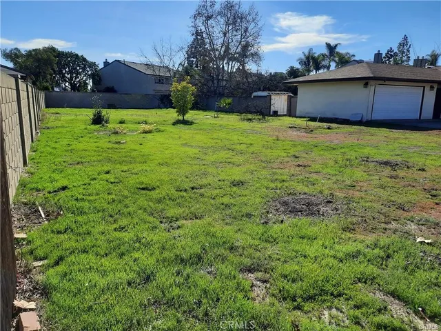 a backyard of a house with plants and large tree