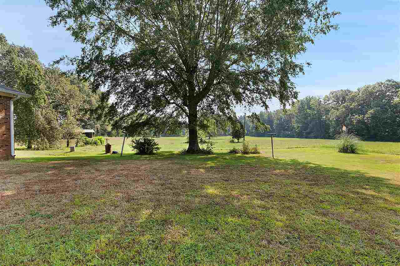 Apple, pear and pecan trees on the property
