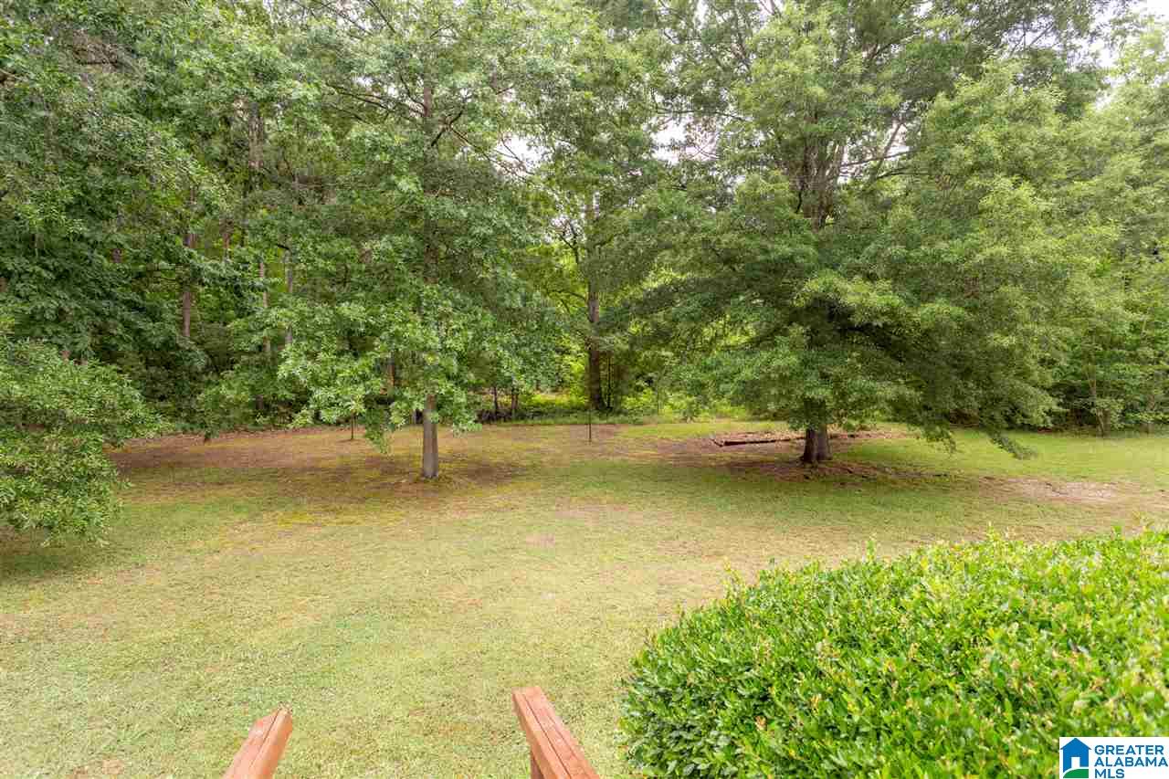 15701 Remlap Drive Remlap, AL 35133 - Photo 41 of 42