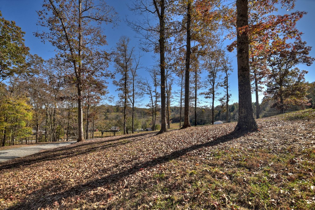 379 Forge Mill Road Mineral Bluff, GA 30559 - Photo 43 of 48 Gallery Image 43