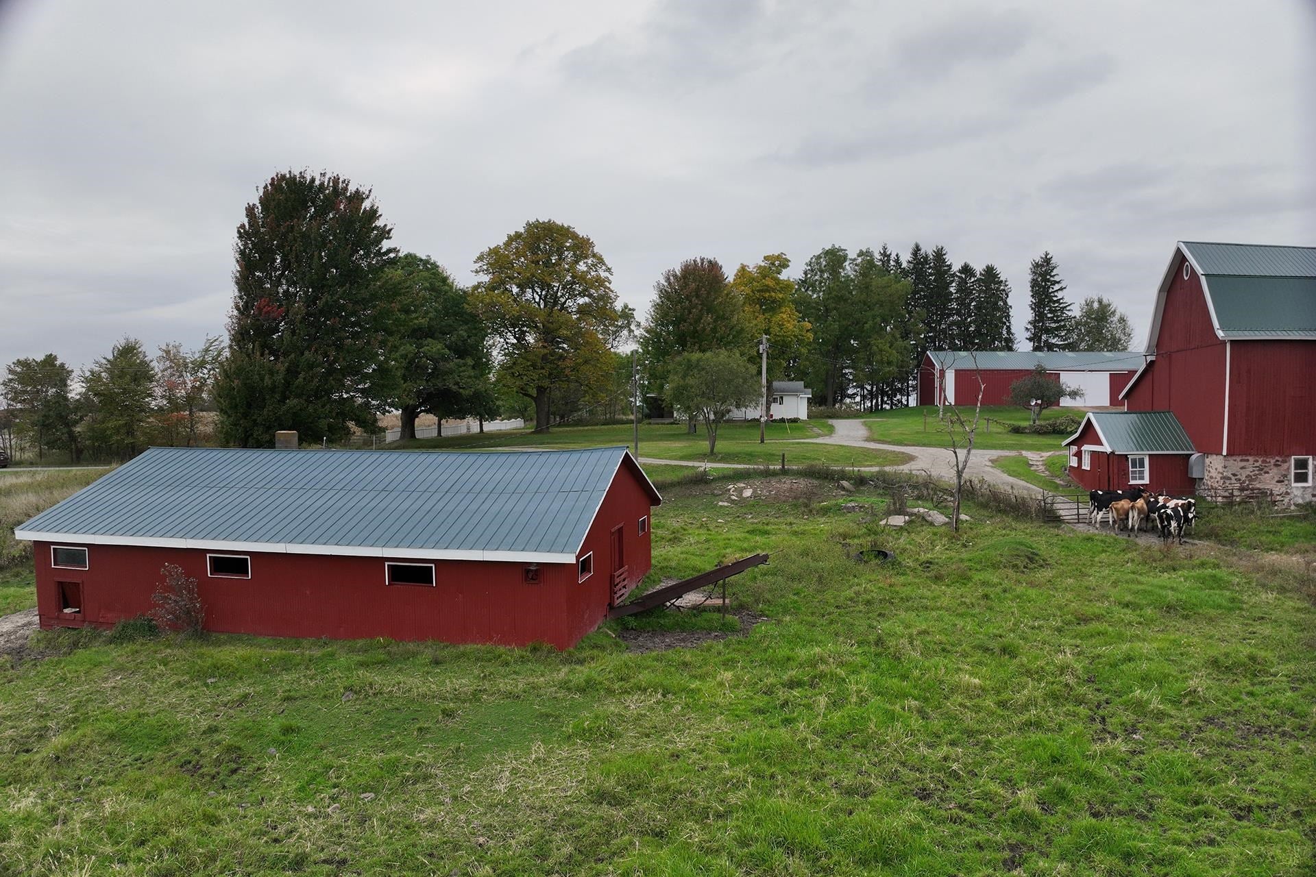 N6722 County Rd G Neillsville, WI 54456 - Photo 53 of 60 Gallery Image 53