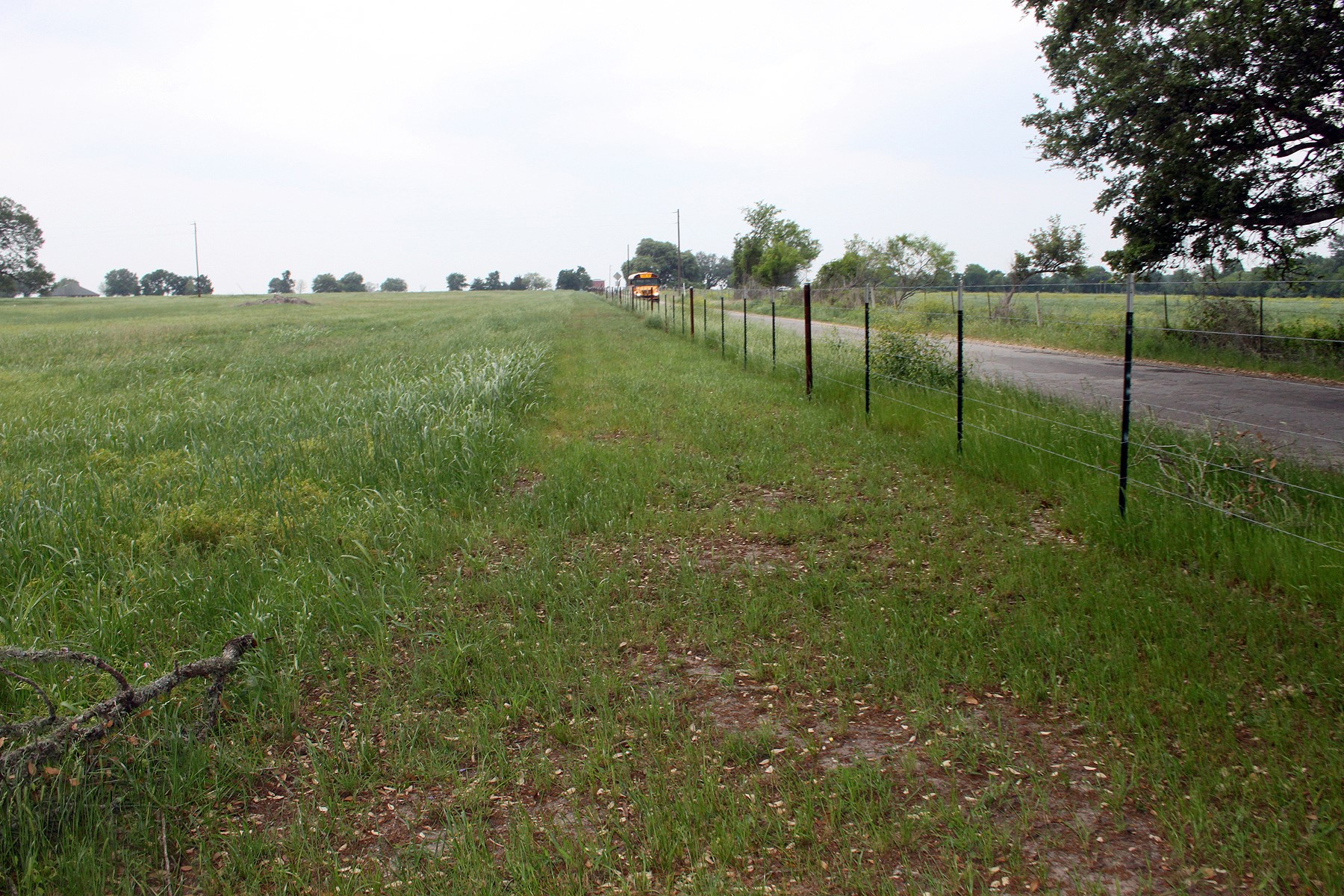 Green pastures and a private road await your dream home in this serene rural setting.