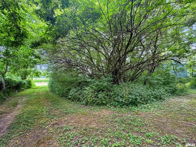 $349,900 | 18196-18200 River Road, Danvers, IL 61732