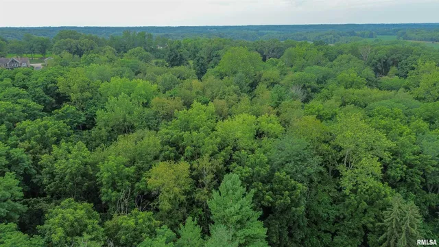 $349,900 | 18196-18200 River Road, Danvers, IL 61732