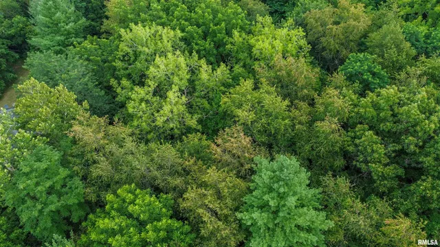 $349,900 | 18196-18200 River Road, Danvers, IL 61732