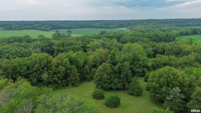 $349,900 | 18196-18200 River Road, Danvers, IL 61732