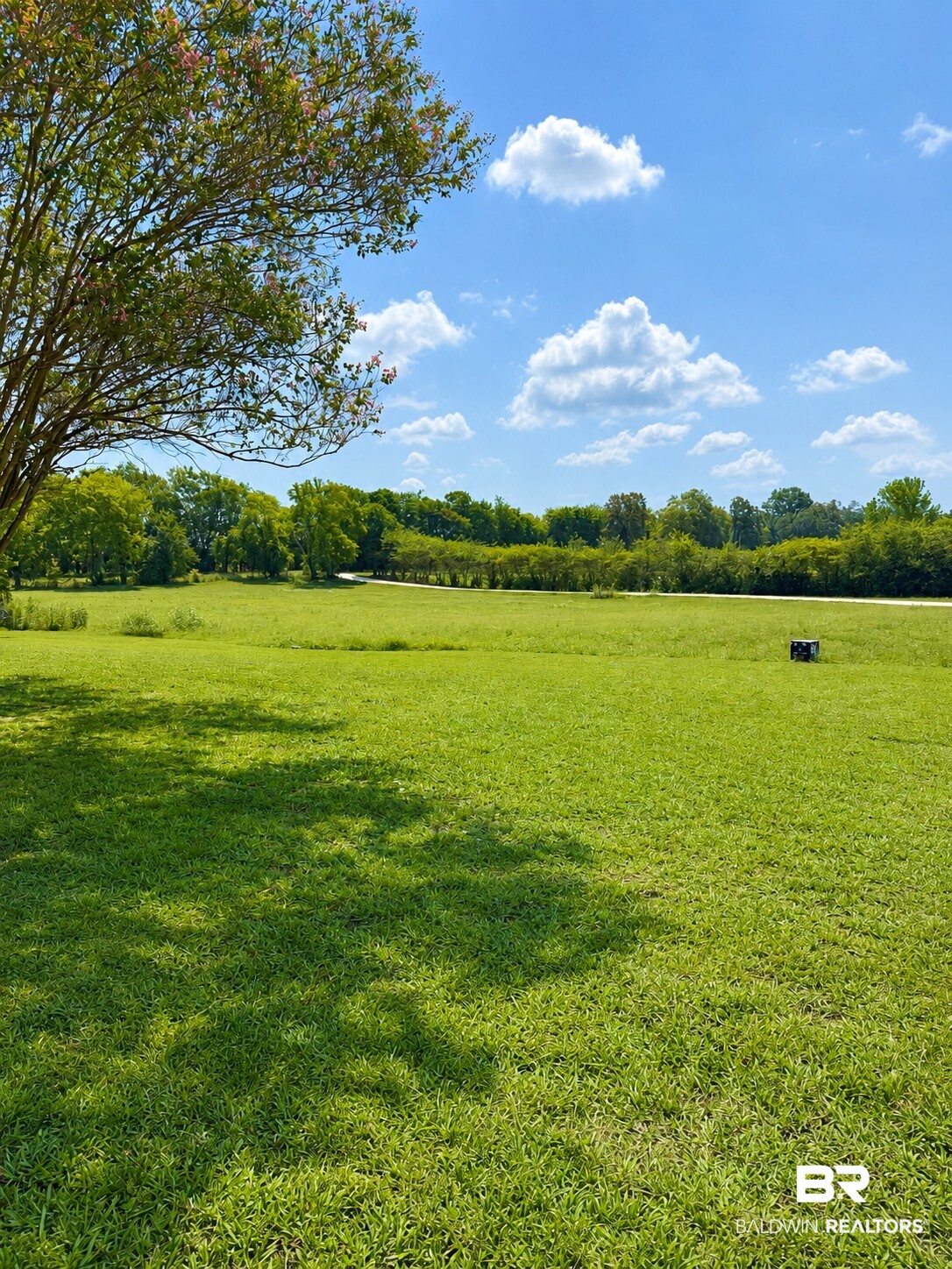 84 Pappas Pond Road Hope Hull, AL 36043 - Photo 4 of 36 Gallery Image 4