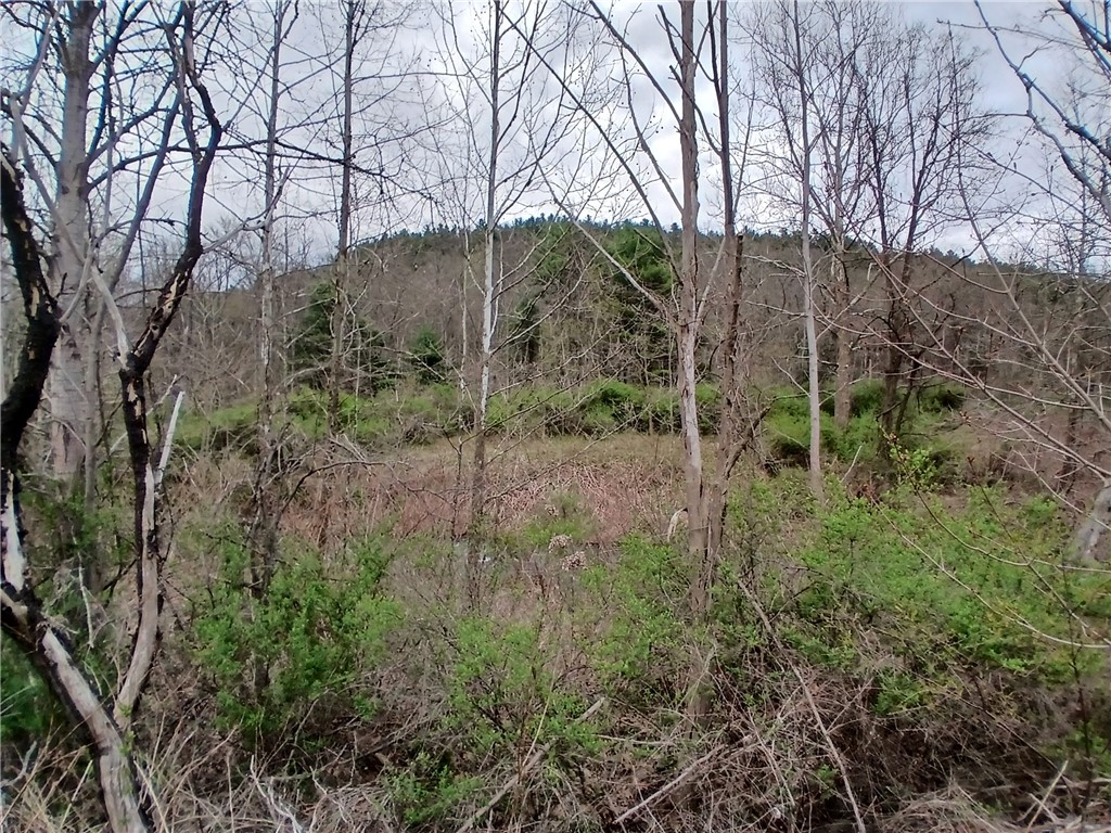 0 Caton Road Corning, NY 14830 - Photo 1 of 1