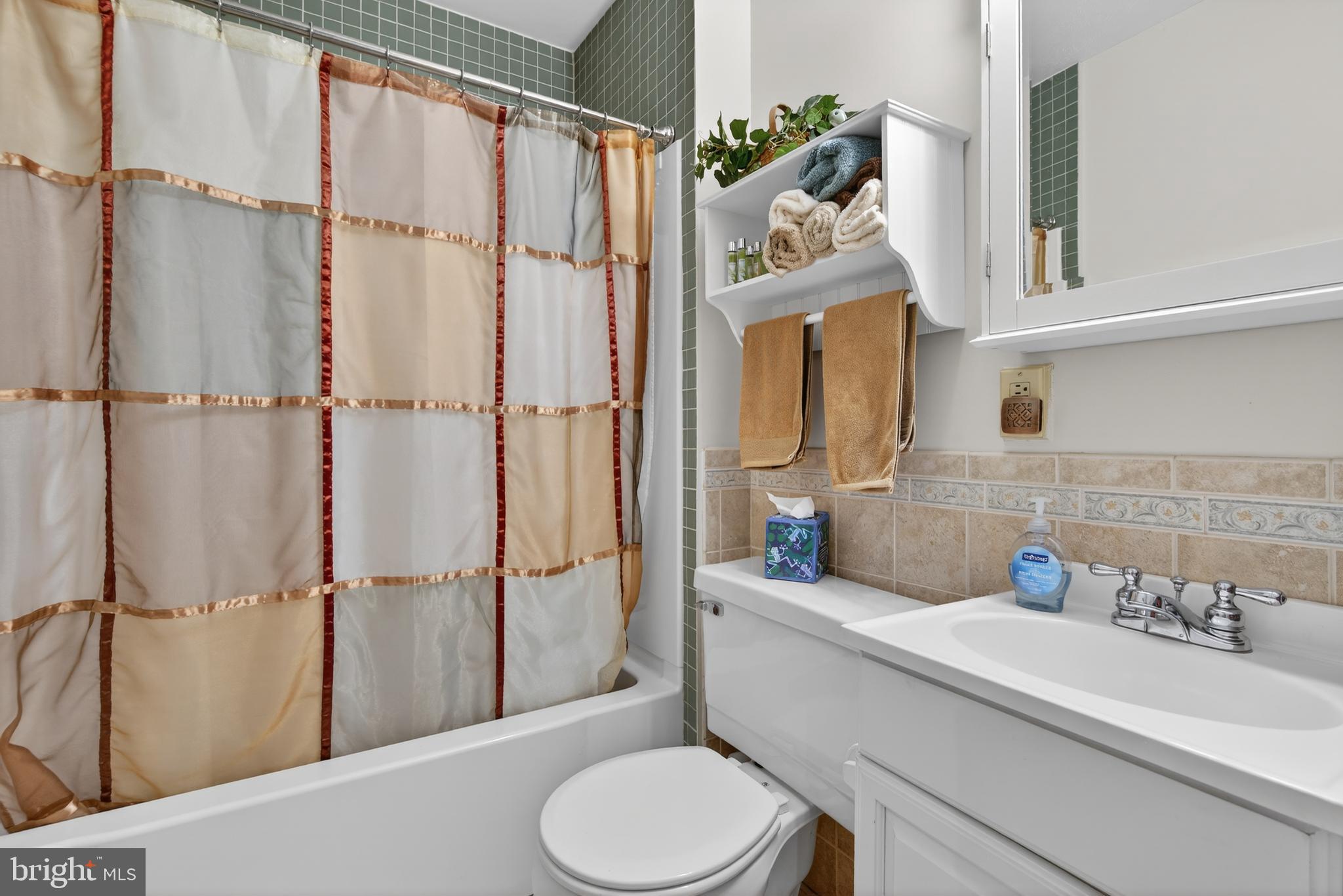 146 South Oak Street Lititz, PA 17543 - Photo 31 of 55 a bathroom with a sink a toilet and shower