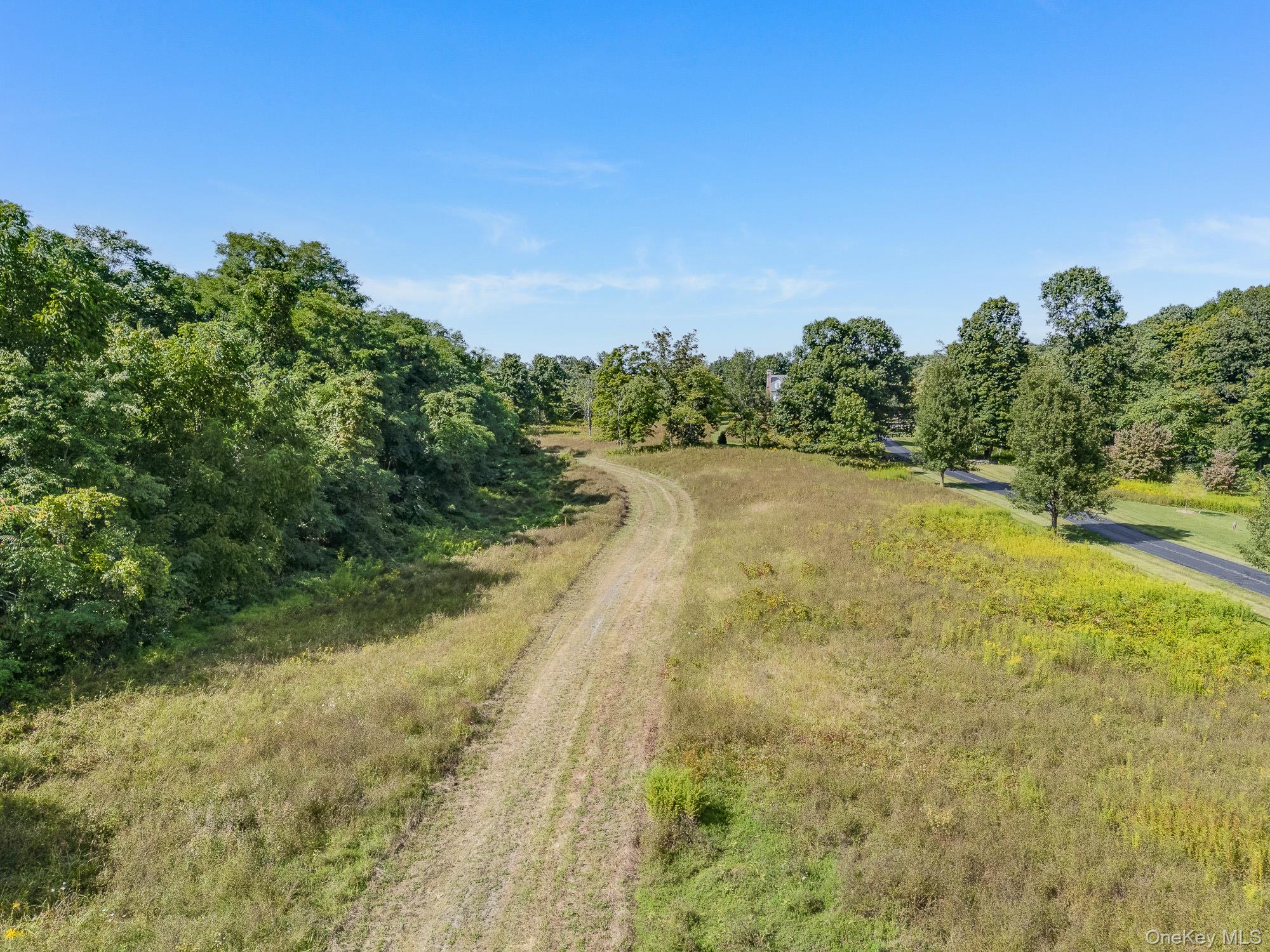 31 Oak Grove Road Clinton Corners, NY 12514 - Photo 12 of 15 a view of a yard with a trees