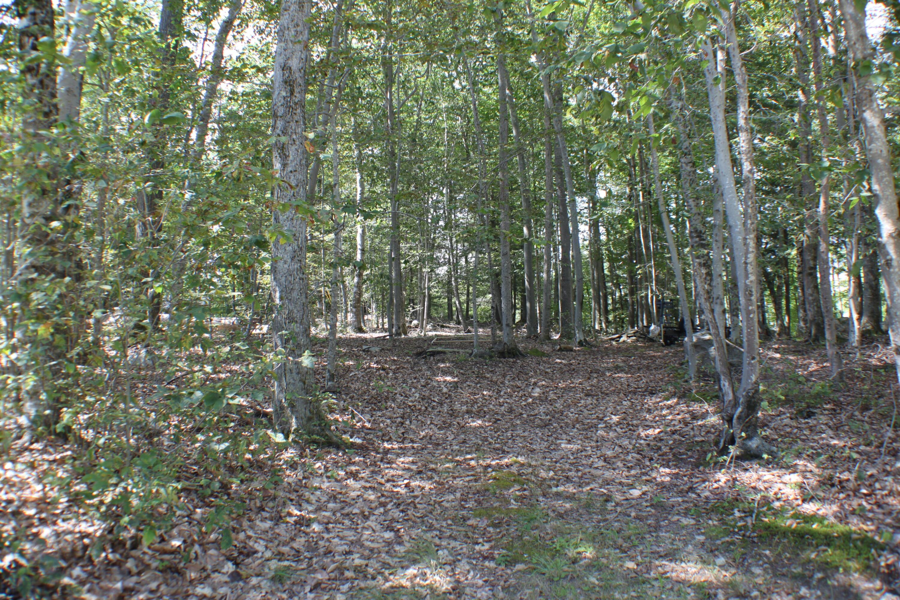 17 Emerald Point Drive Standish, ME 04084 - Photo 5 of 17 5