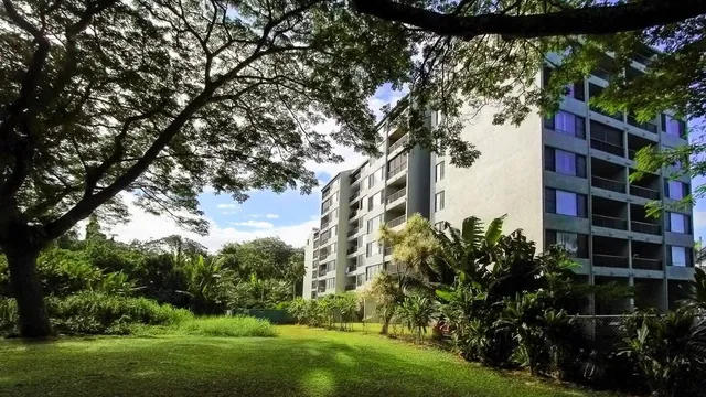 a view of an apartment with a tree