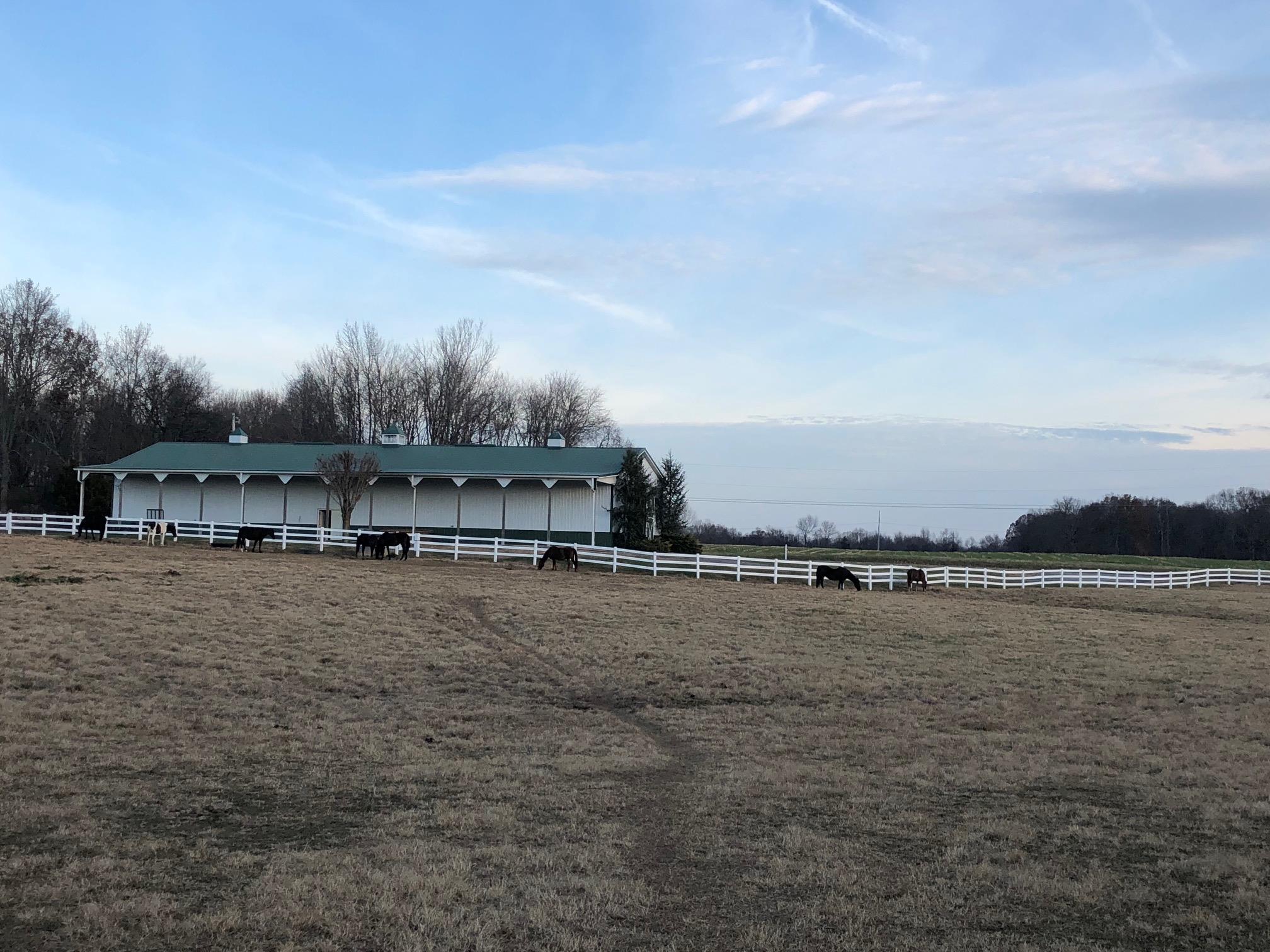 3301 North Mt Pleasant Road Greenbrier, TN 37073 - Photo 21 of 28 Gallery Image 21