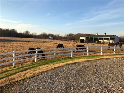 3301 North Mt Pleasant Road Greenbrier, TN 37073 - Photo 26 of 28 Gallery Image 26