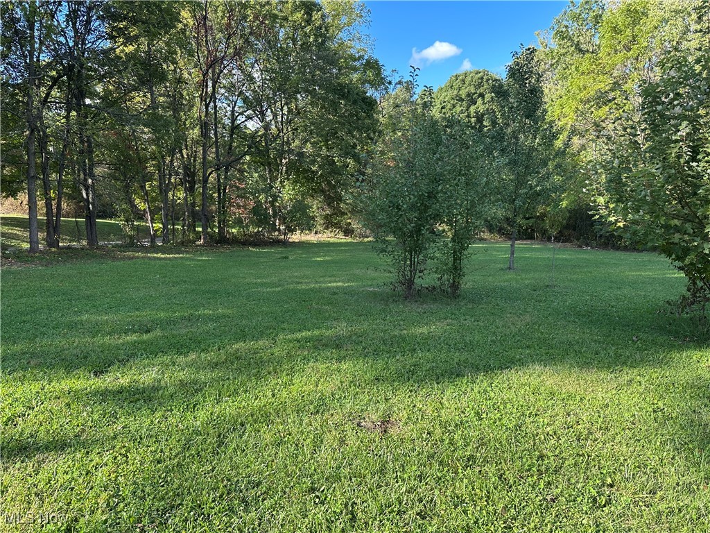 7320 Fenner Road Shelby, OH 44875 - Photo 12 of 21 View of grassy yard with view of wooded area