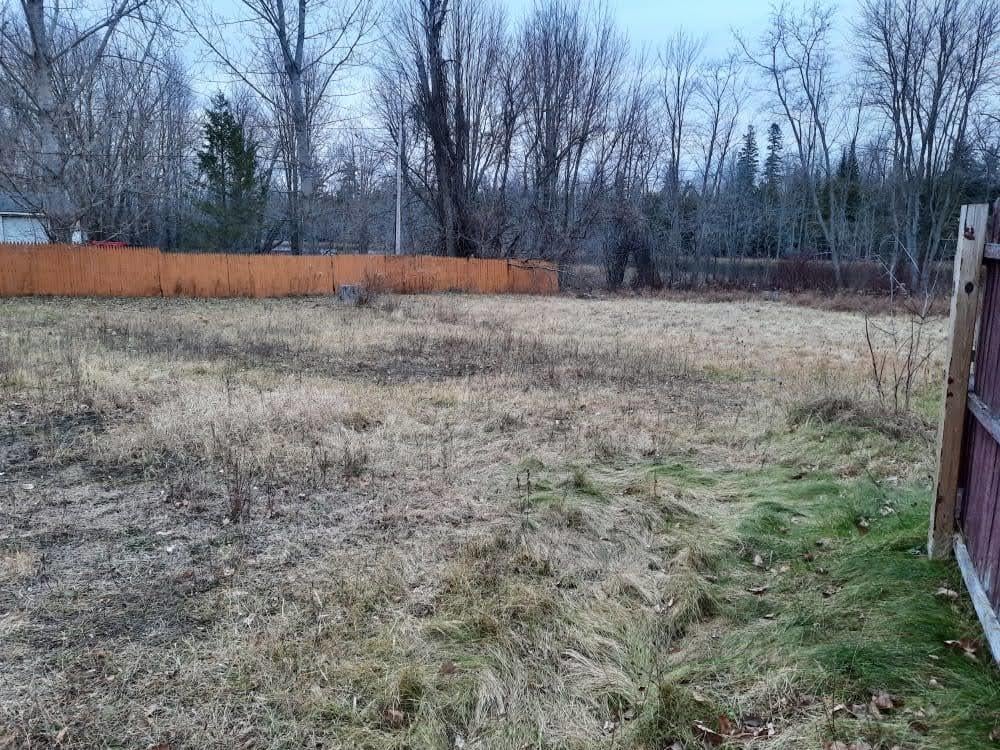 3905 Monaghan Point Road Alpena, MI 49707 - Photo 17 of 47 Gallery Image 17