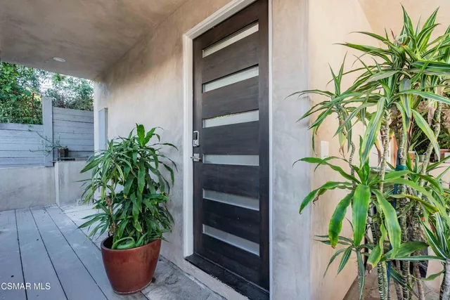 a potted plant sitting in front of a house