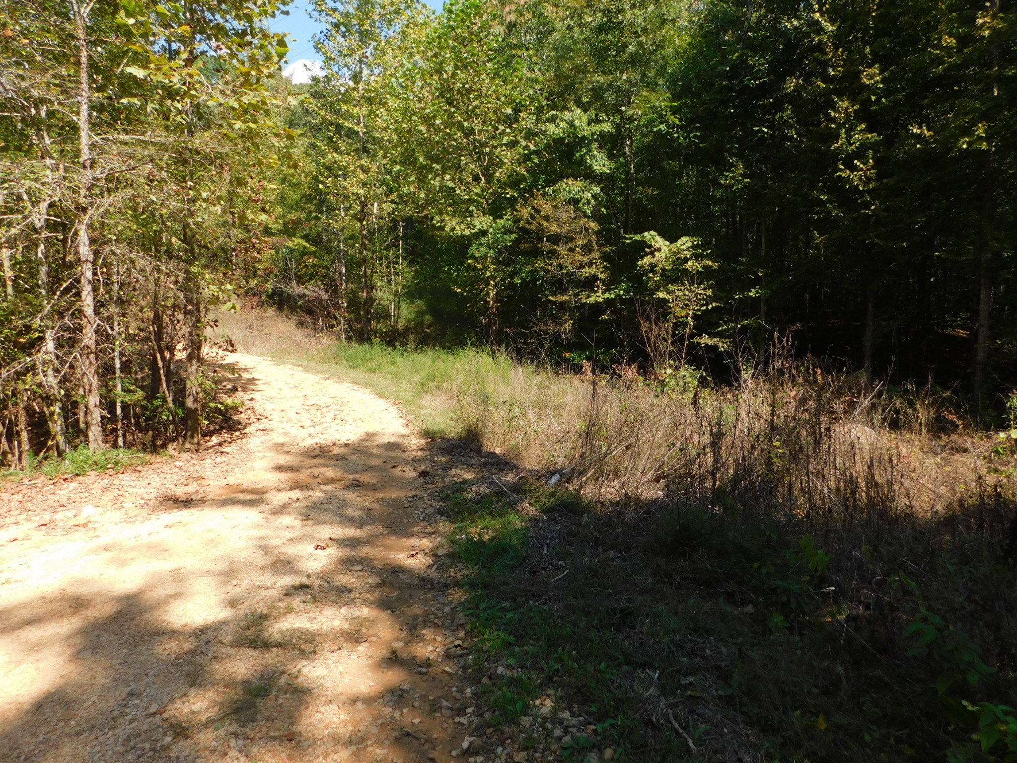 1869 Gander Branch Road Waverly, TN 37185 - Photo 11 of 46 a view of a lake view