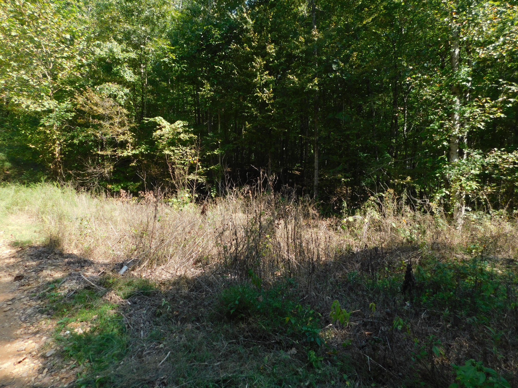 1869 Gander Branch Road Waverly, TN 37185 - Photo 12 of 46 a view of a yard